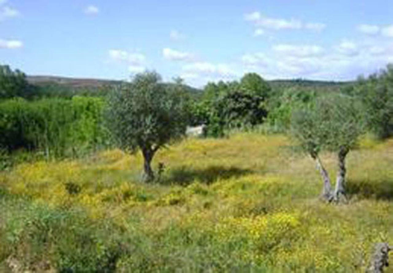 Casa Rustica Villa Arganil Exterior photo